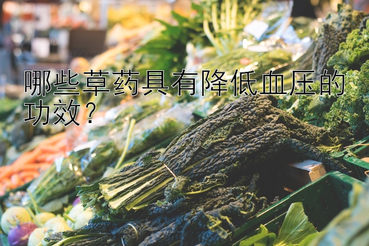 哪些草药具有降低血压的功效？