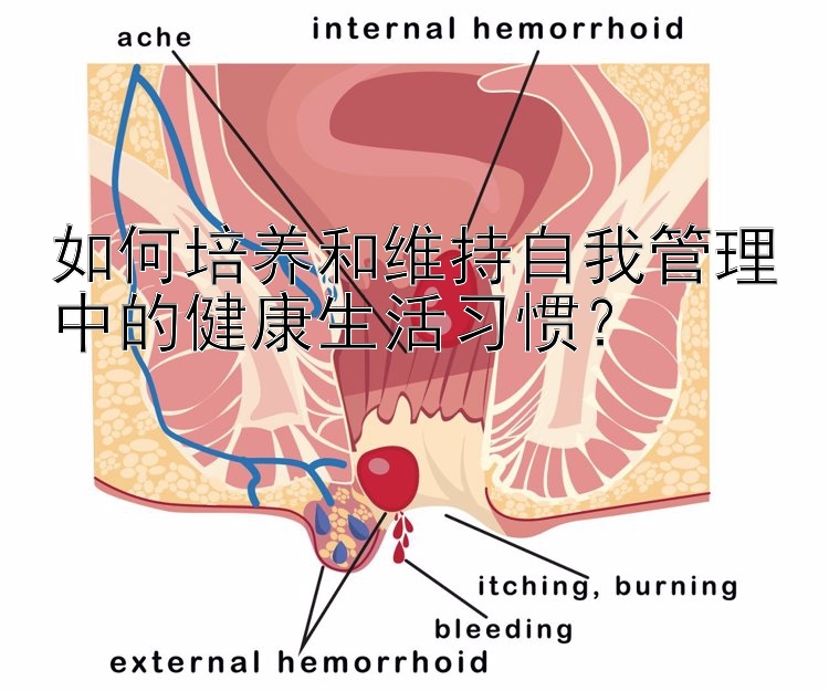 如何培养和维持自我管理中的健康生活习惯？