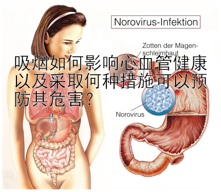 吸烟如何影响心血管健康以及采取何种措施可以预防其危害？