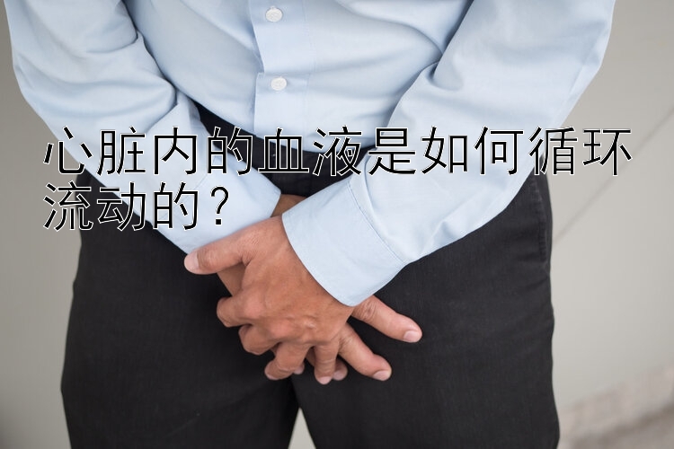 心脏内的血液是如何循环流动的？