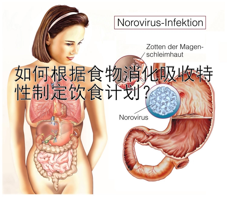 如何根据食物消化吸收特性制定饮食计划？