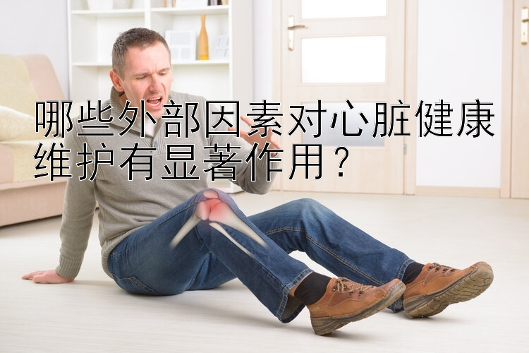 哪些外部因素对心脏健康维护有显著作用？