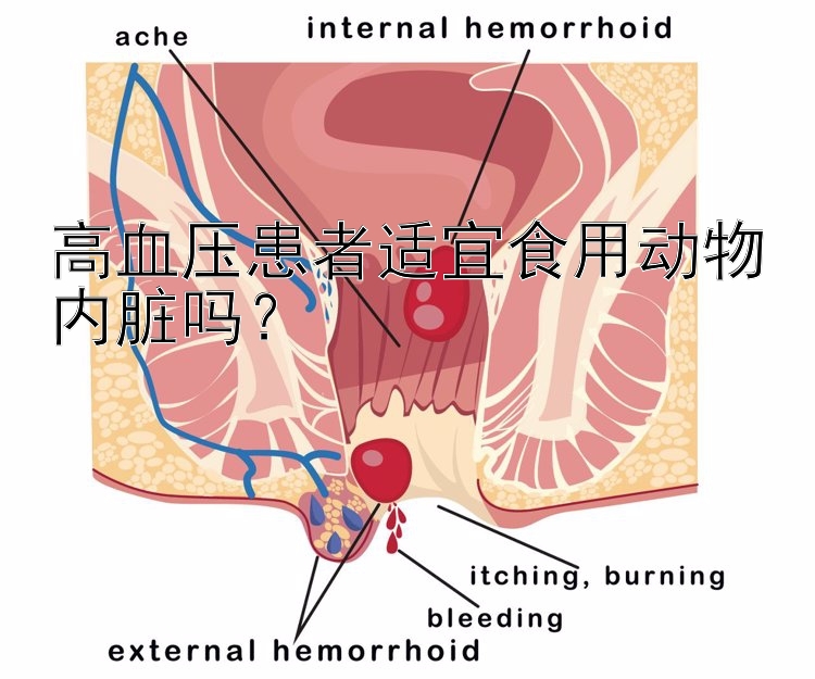 高血压患者适宜食用动物内脏吗？