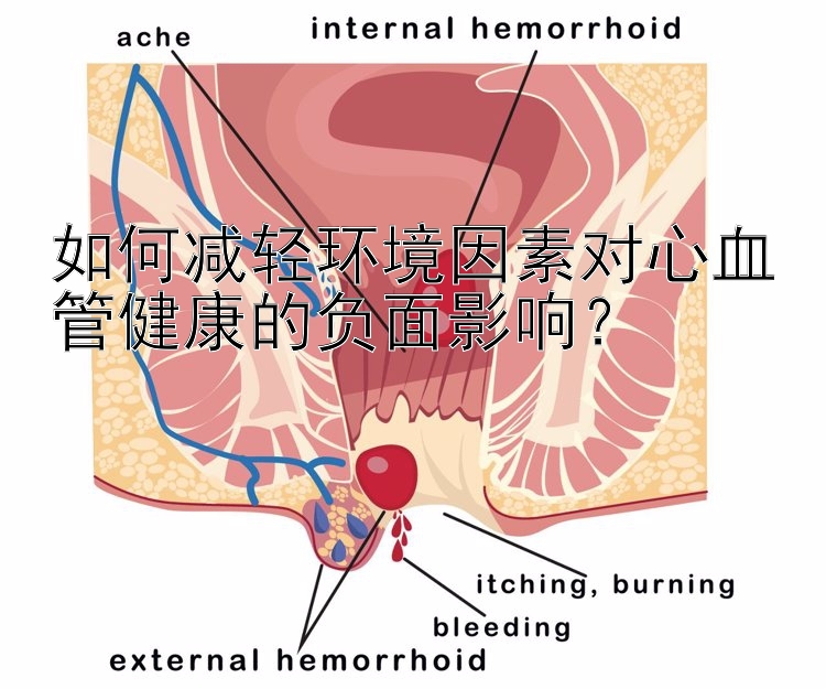 如何减轻环境因素对心血管健康的负面影响？