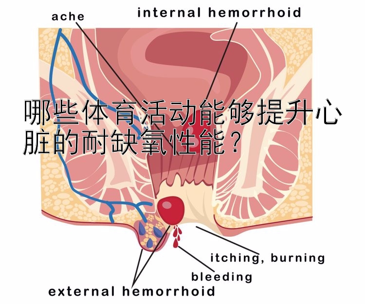 哪些体育活动能够提升心脏的耐缺氧性能？